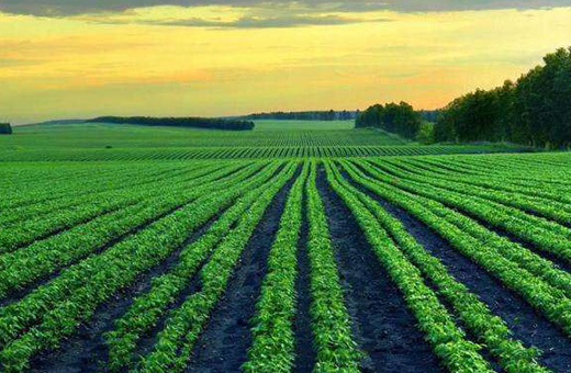 久兄弟農(nóng)業(yè)